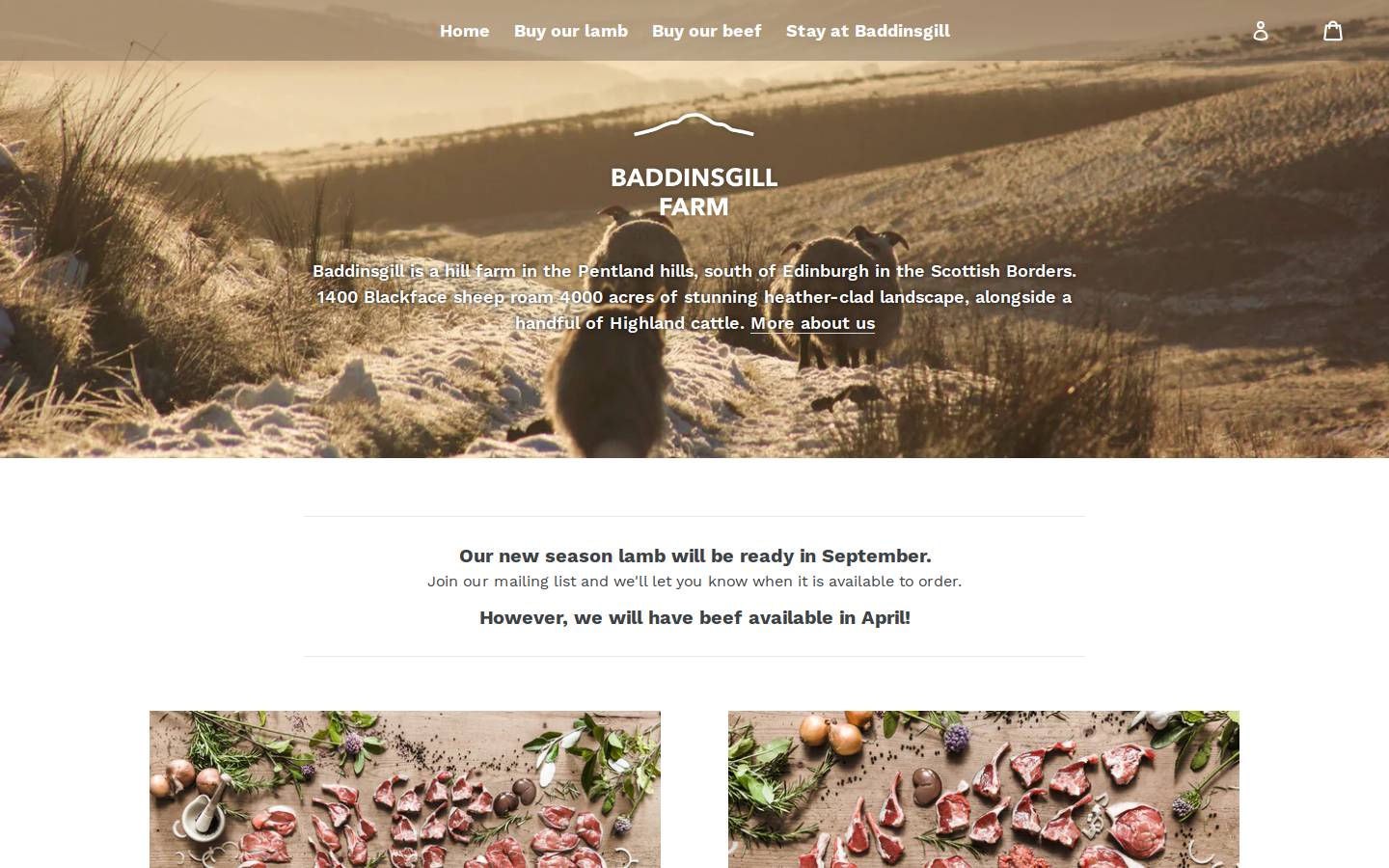 baddinsgill.com homepage screenshot