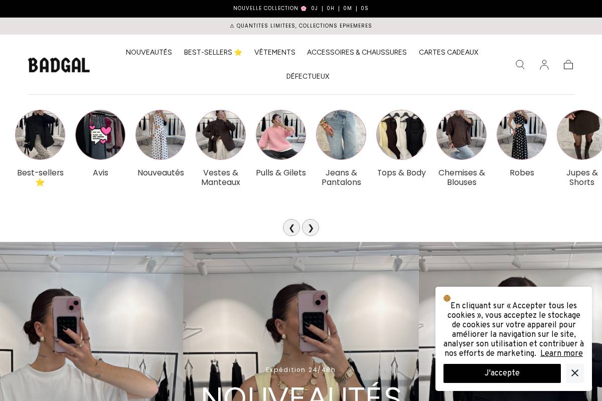 badgalcollection.fr homepage screenshot