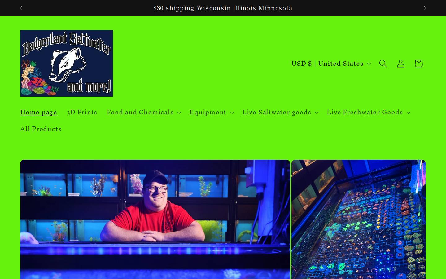 badgerlandsaltwater.com homepage screenshot