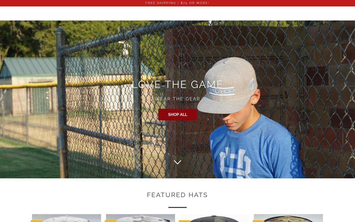 badhop.com homepage screenshot