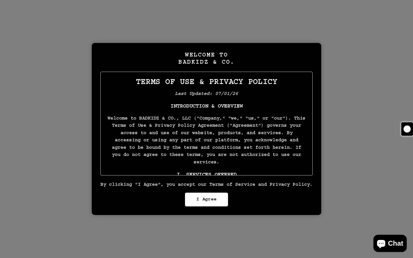 badkidz.co homepage screenshot