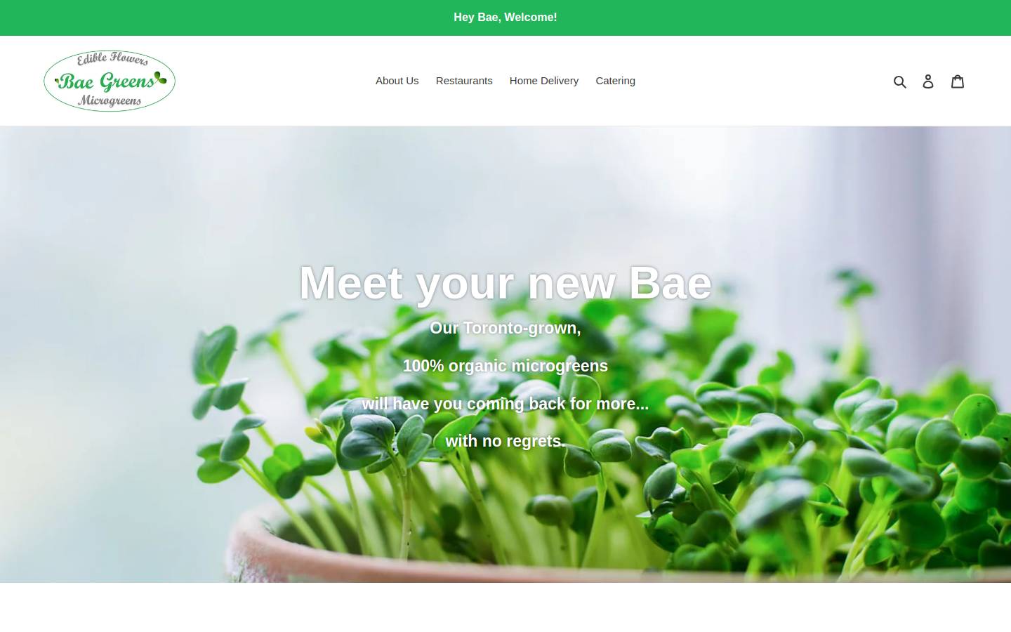 baegreens.com homepage screenshot