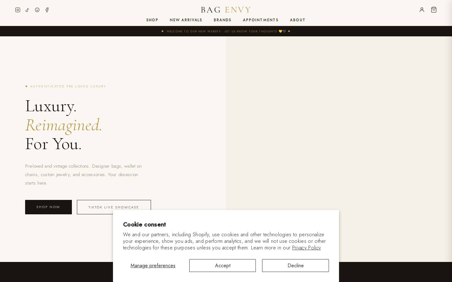 bag-envy.com homepage screenshot