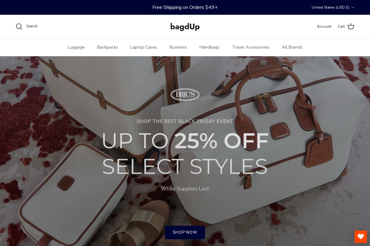 bagdUp homepage screenshot