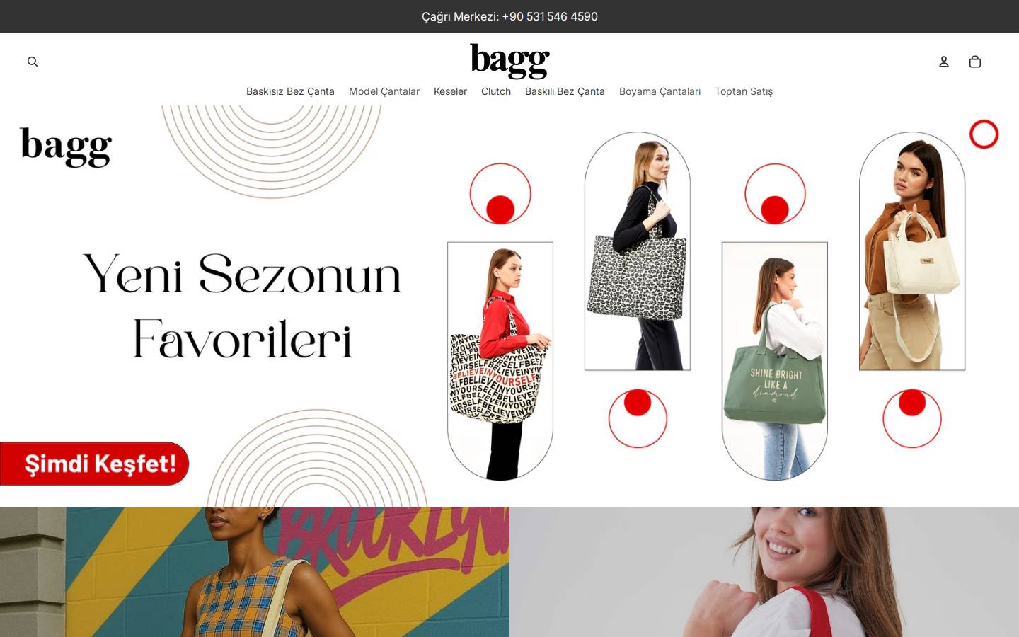 bagg.com.tr homepage screenshot