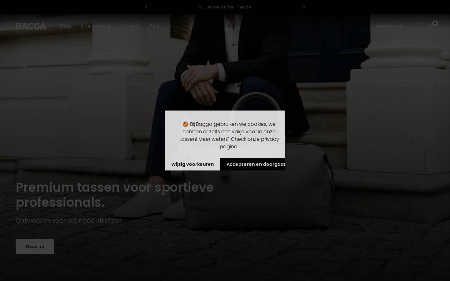 bagga.nl homepage screenshot