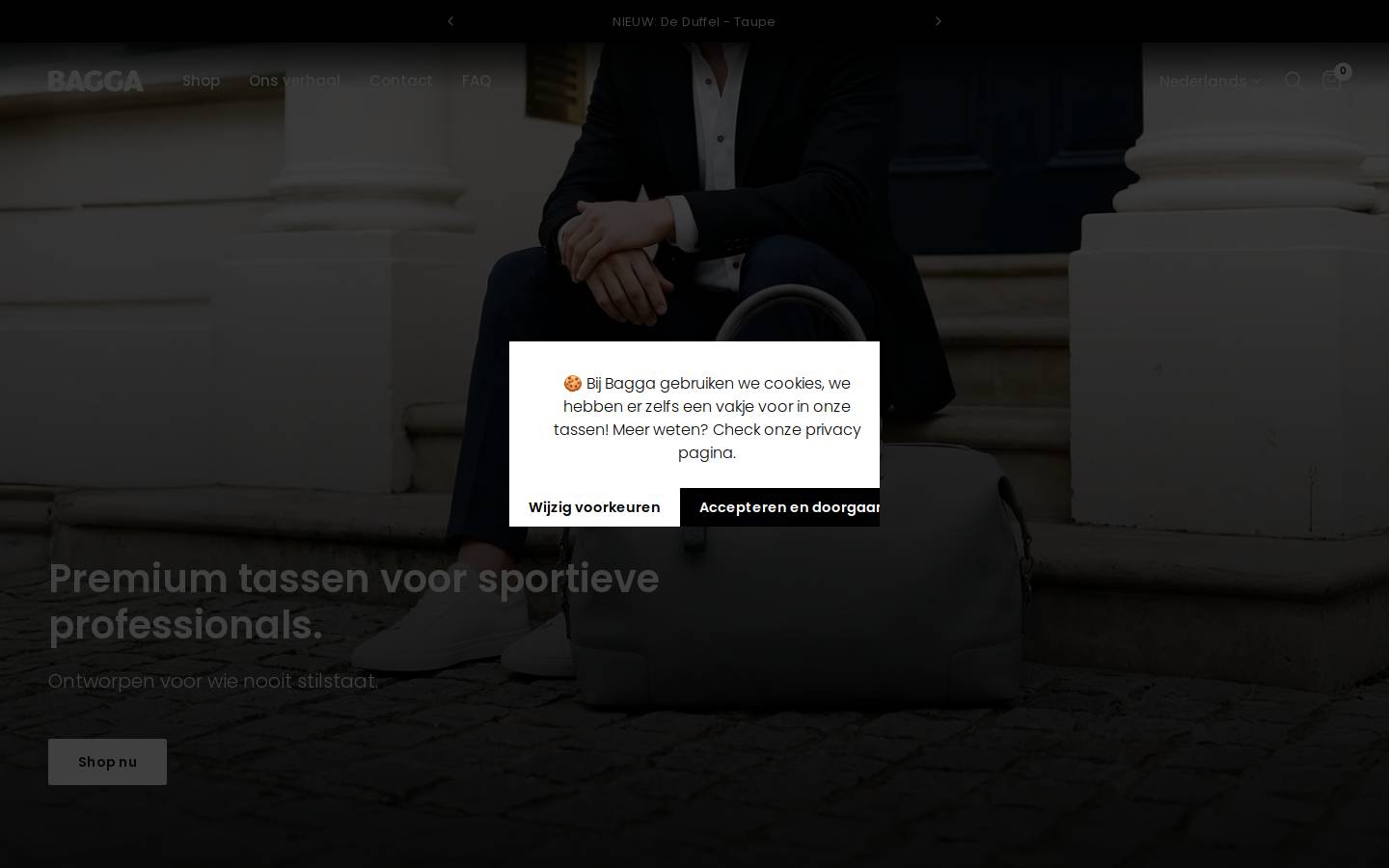 Bagga homepage screenshot