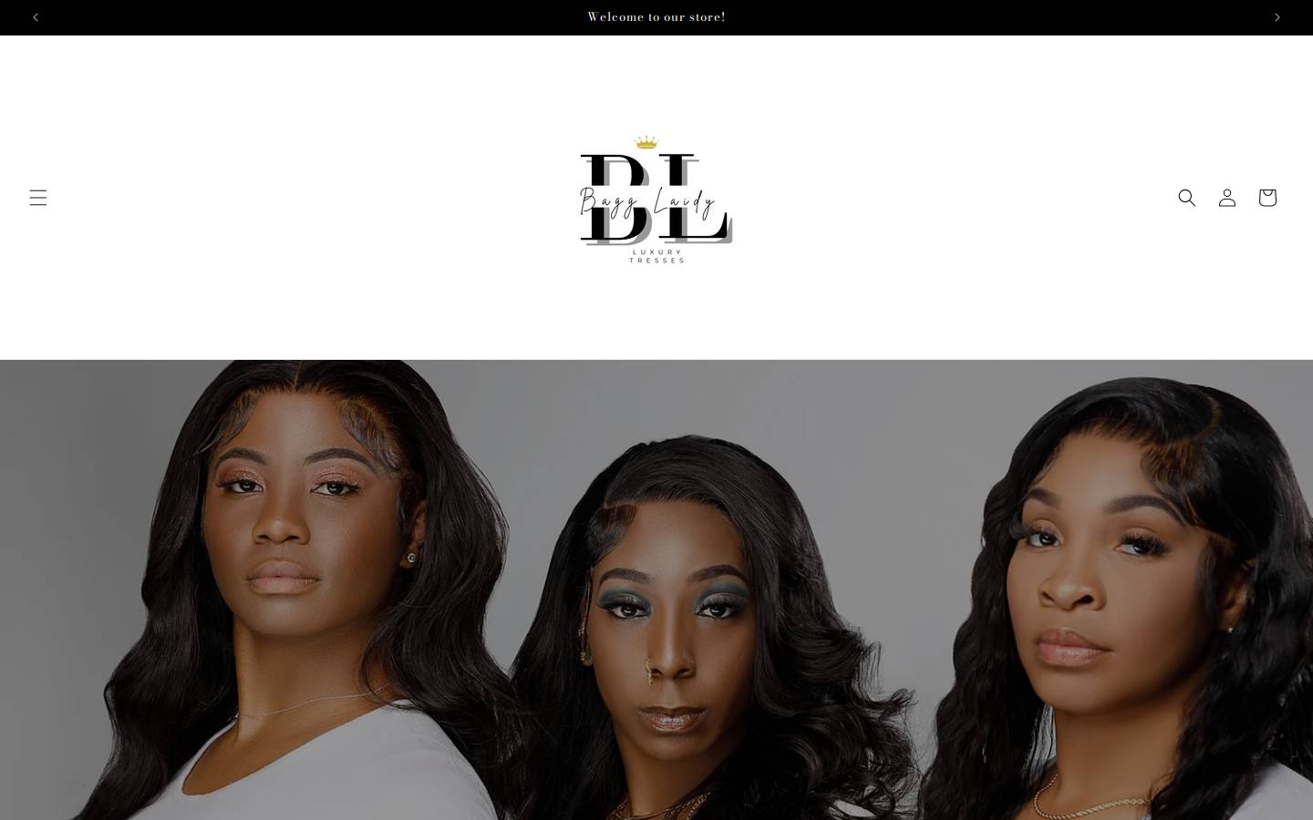 bagglaidy.com homepage screenshot