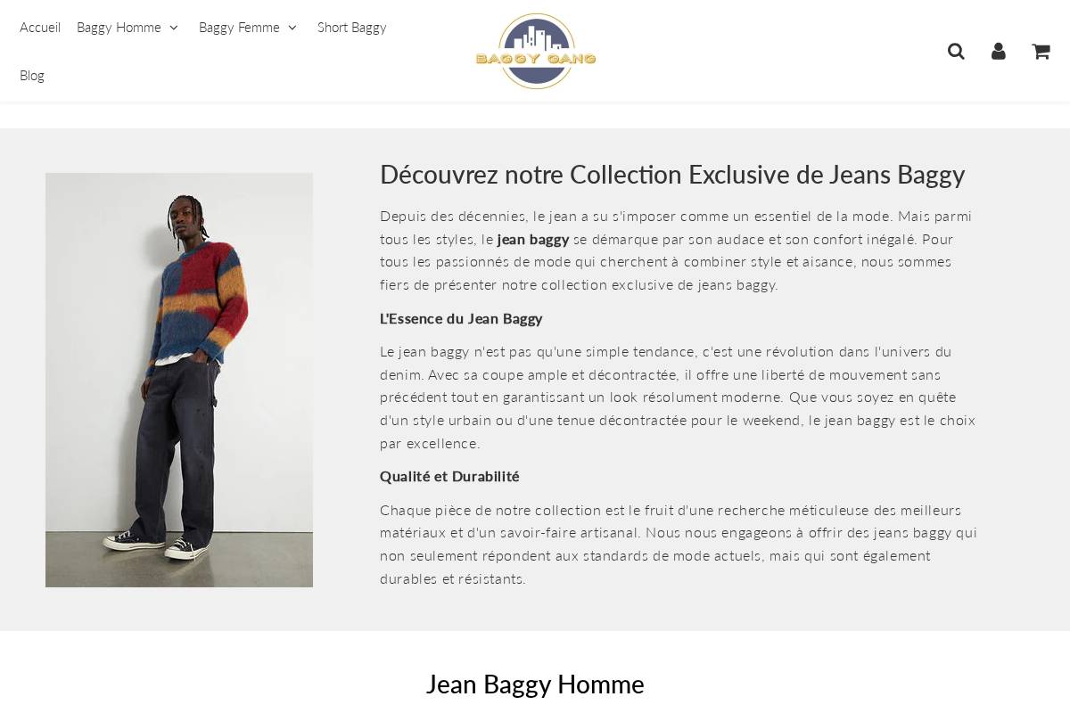 Baggy Gang homepage screenshot