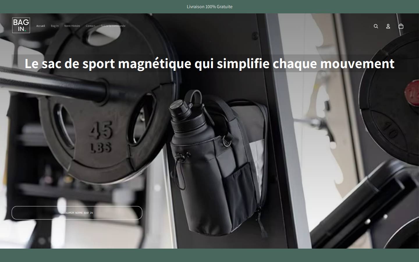 Bagin.com homepage screenshot
