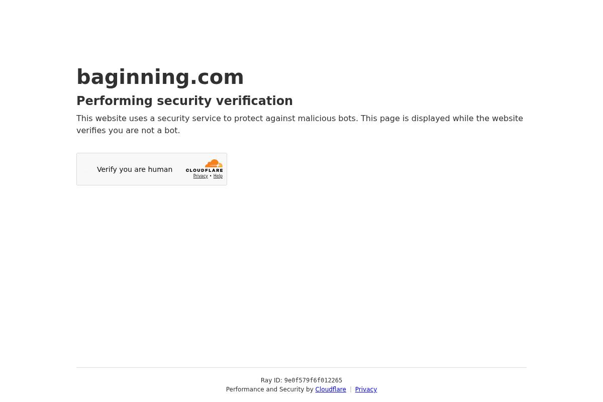 Baginning homepage screenshot