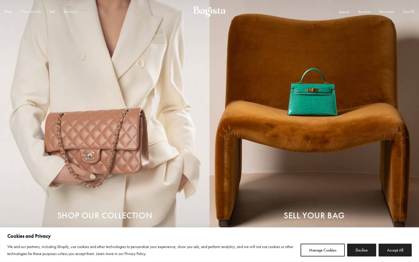 Bagista homepage screenshot
