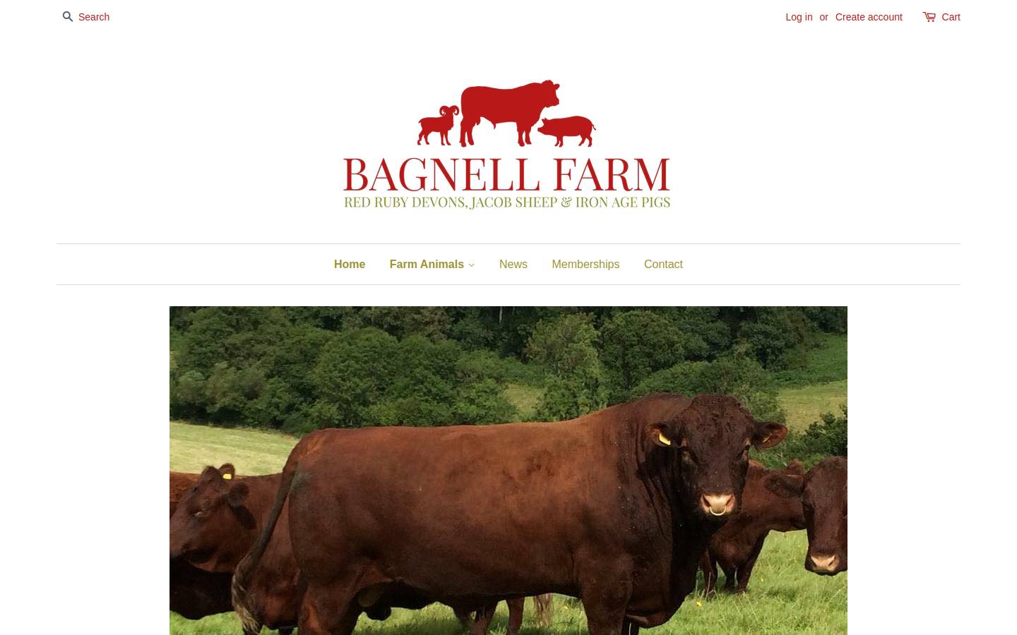 bagnellfarm.co.uk homepage screenshot
