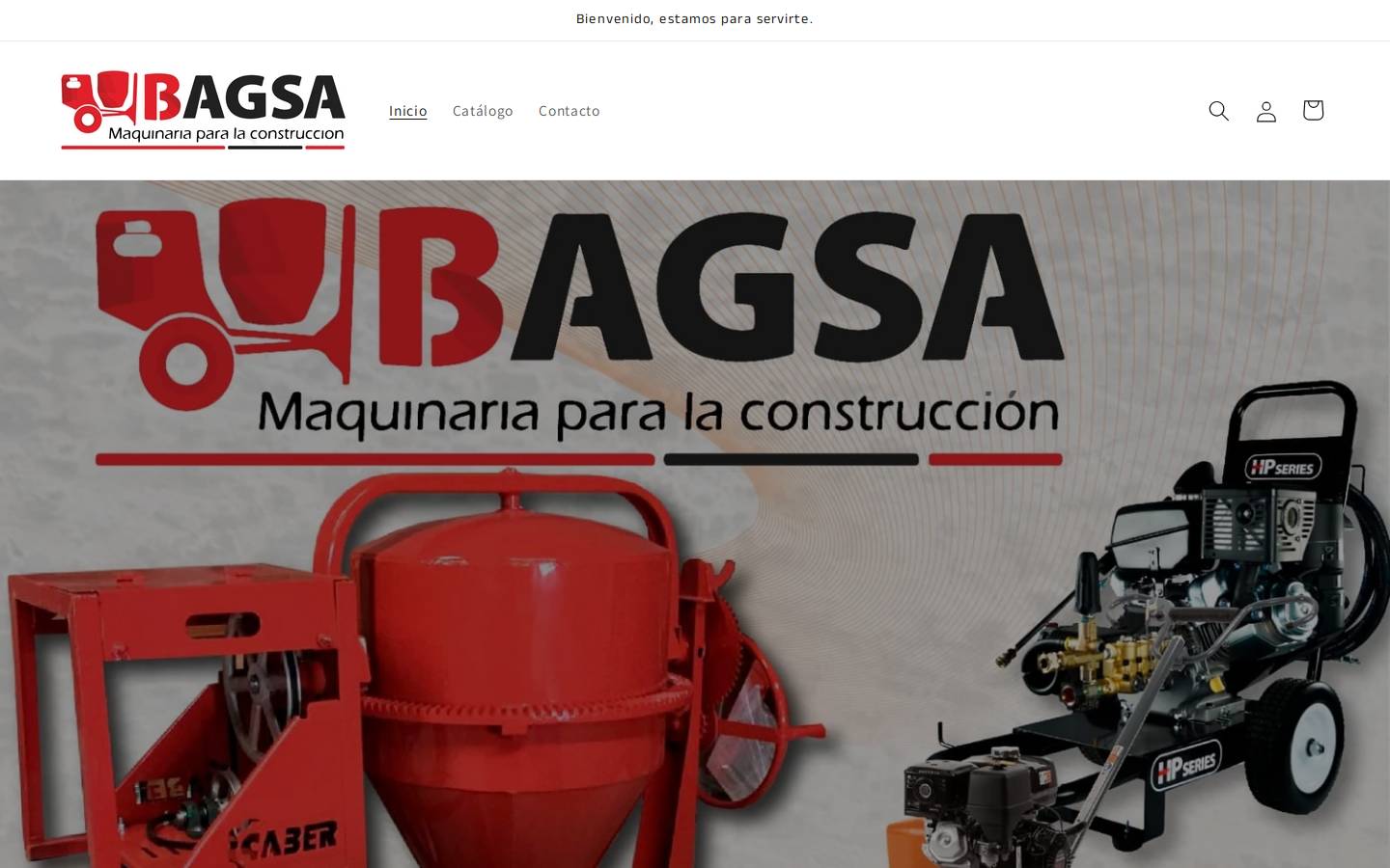 bagsa.com.mx homepage screenshot