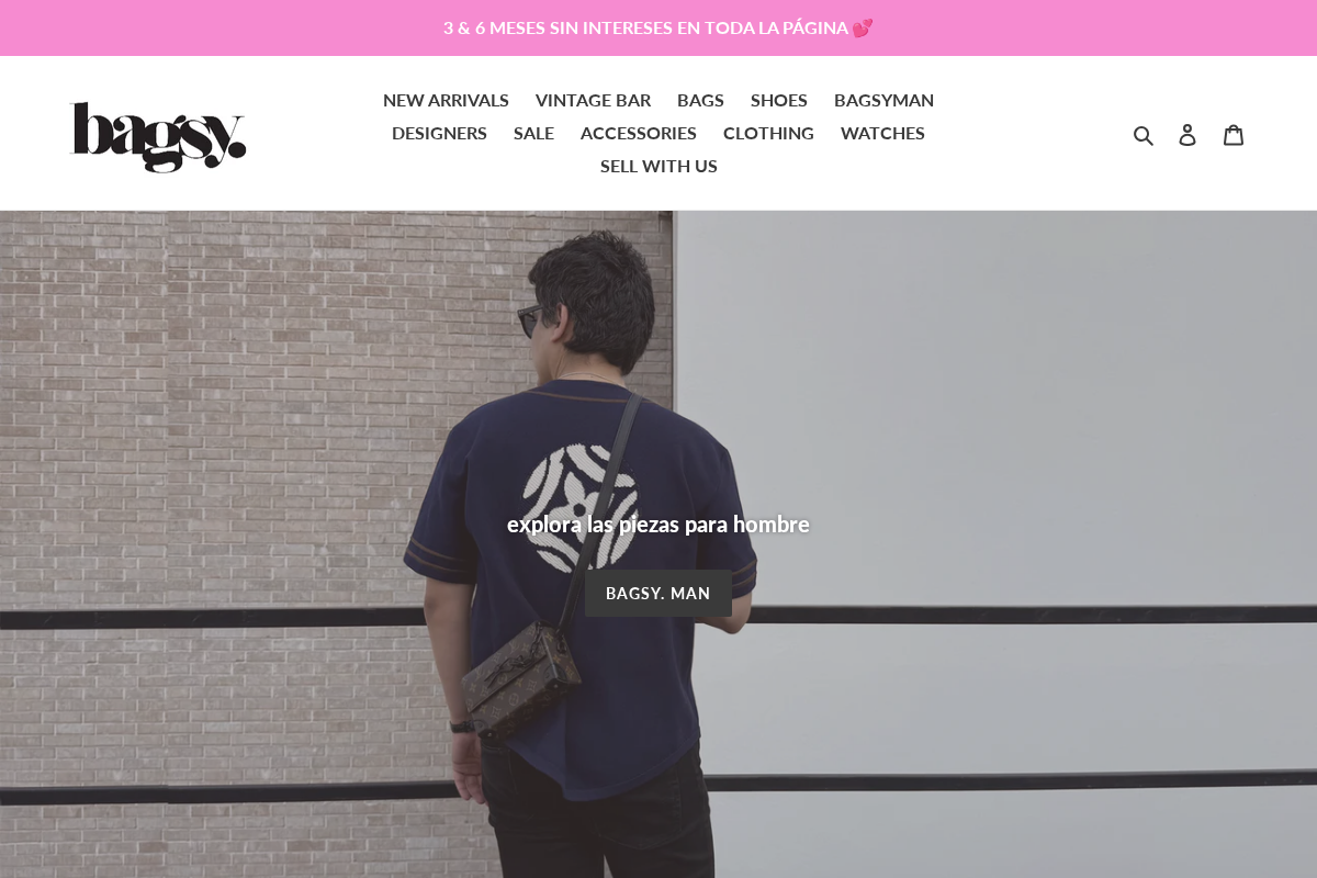 bagsy. homepage screenshot