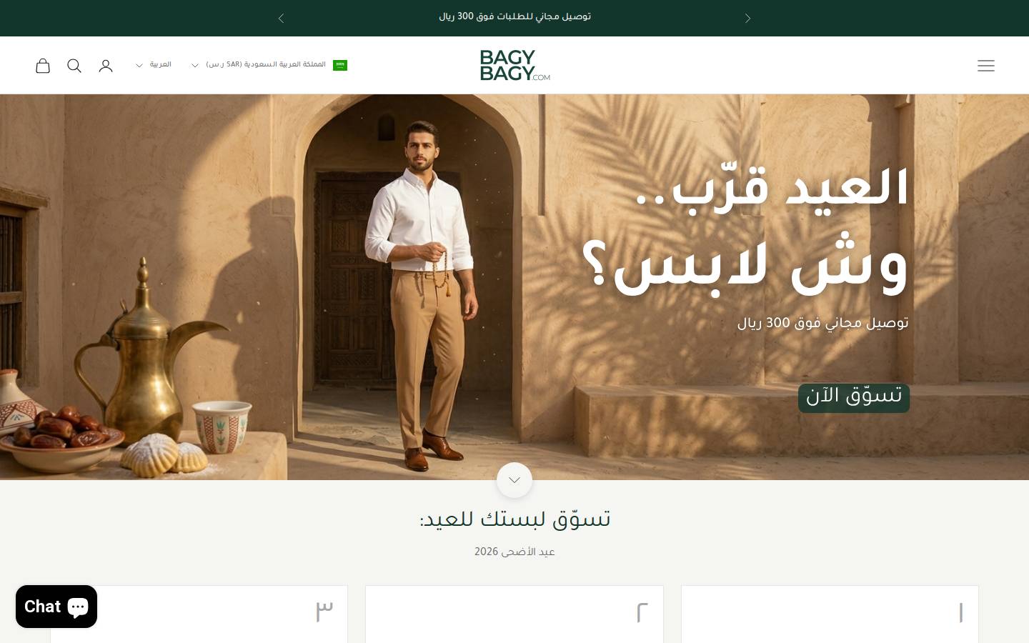 bagybagy.com homepage screenshot