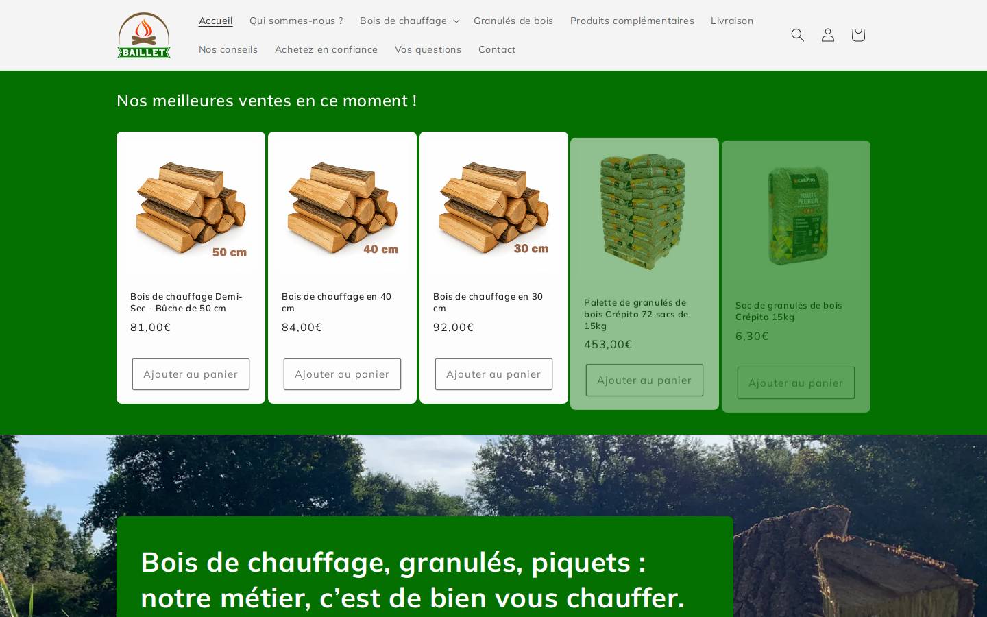 bailletboisdechauffage.com homepage screenshot