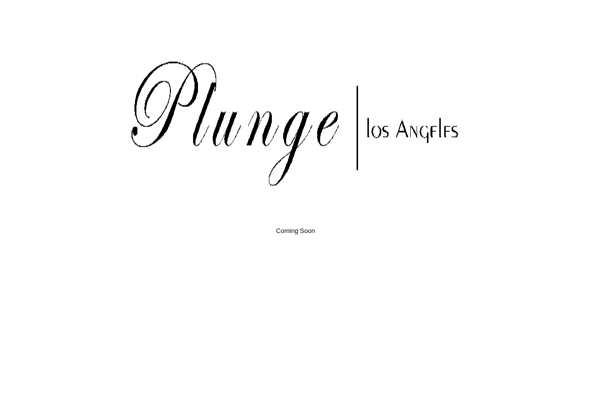Welcome to Plunge Los Angeles homepage screenshot