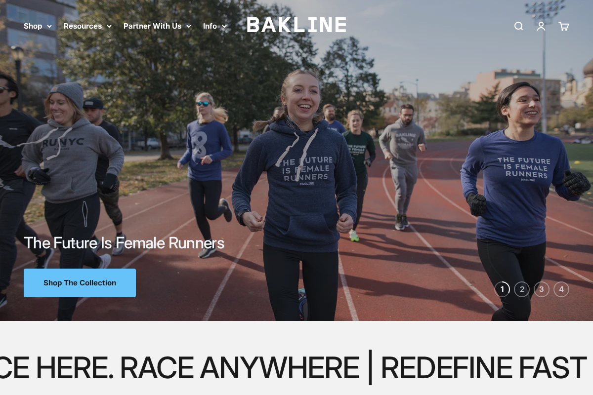 Bakline homepage screenshot