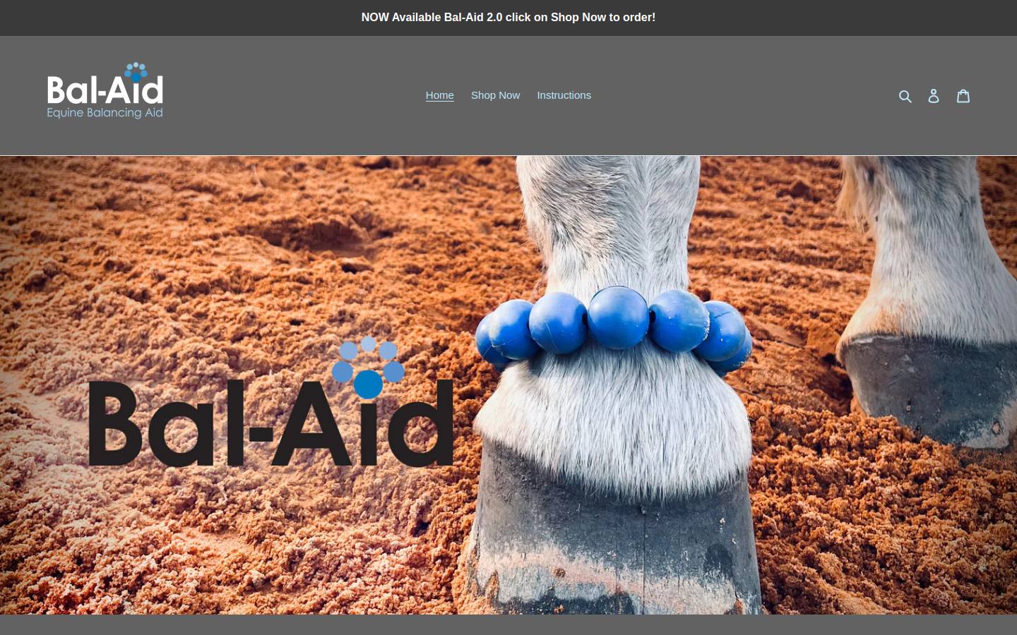 bal-aid.com homepage screenshot