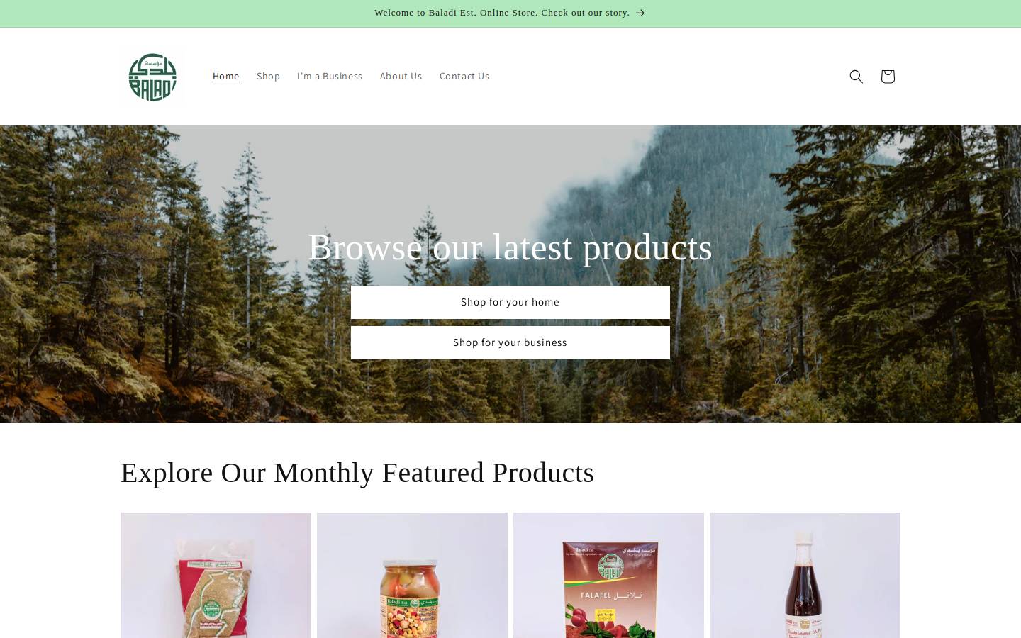 baladiest.com homepage screenshot