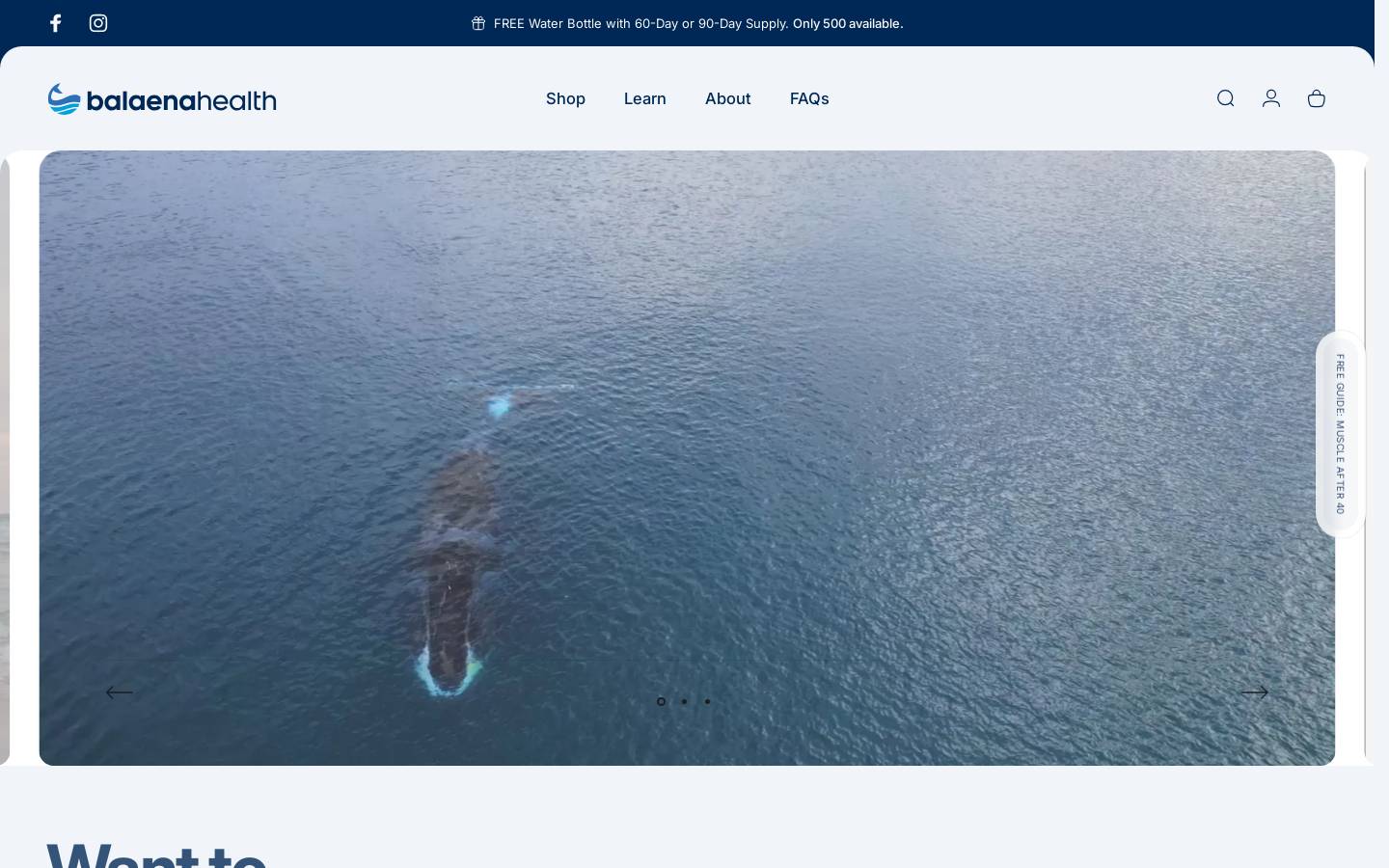 balaenahealth.com homepage screenshot