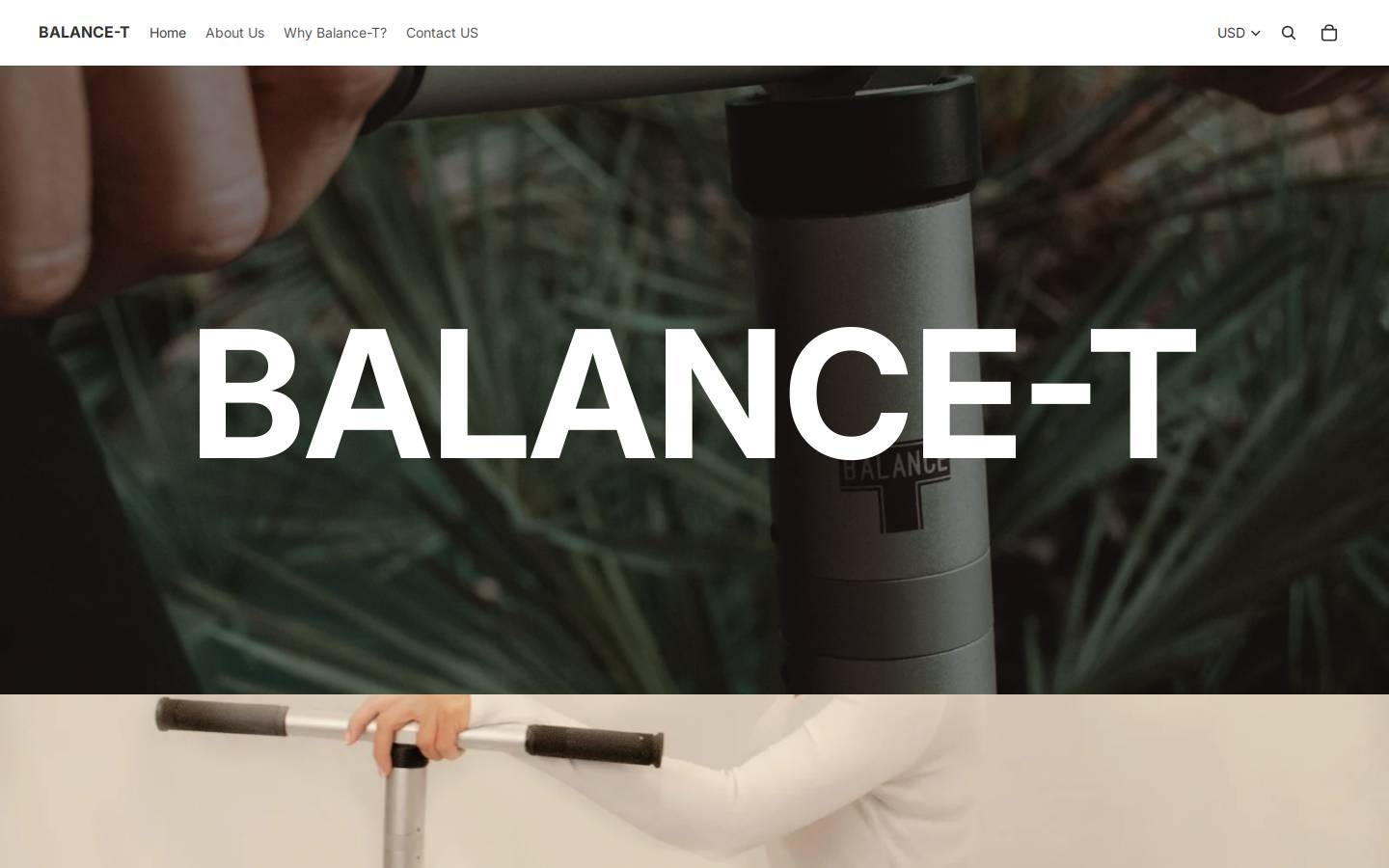 balance-t.com homepage screenshot
