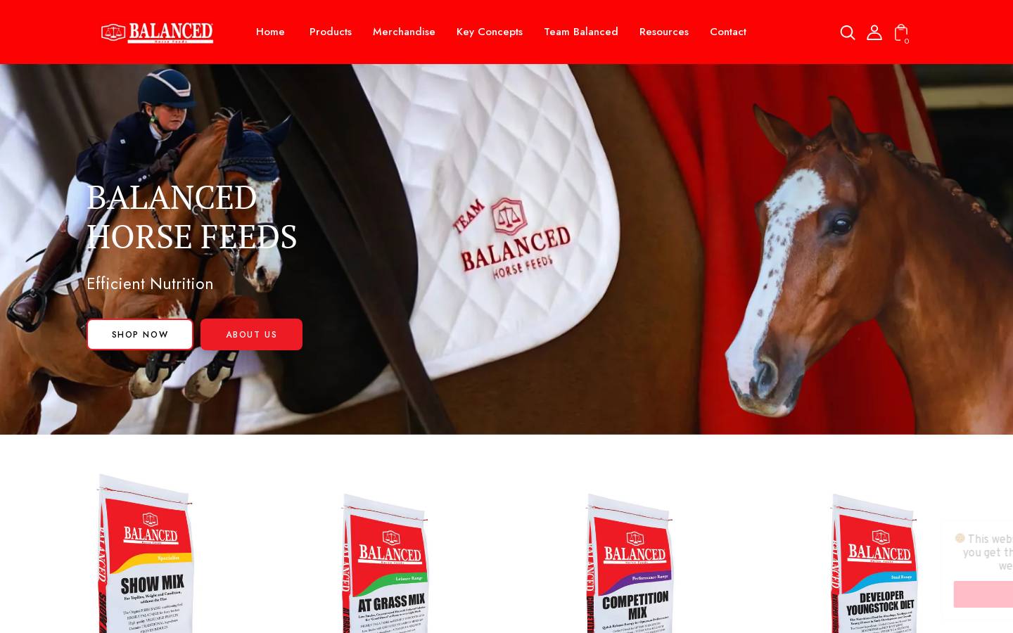 Balanced Horse Feeds homepage screenshot