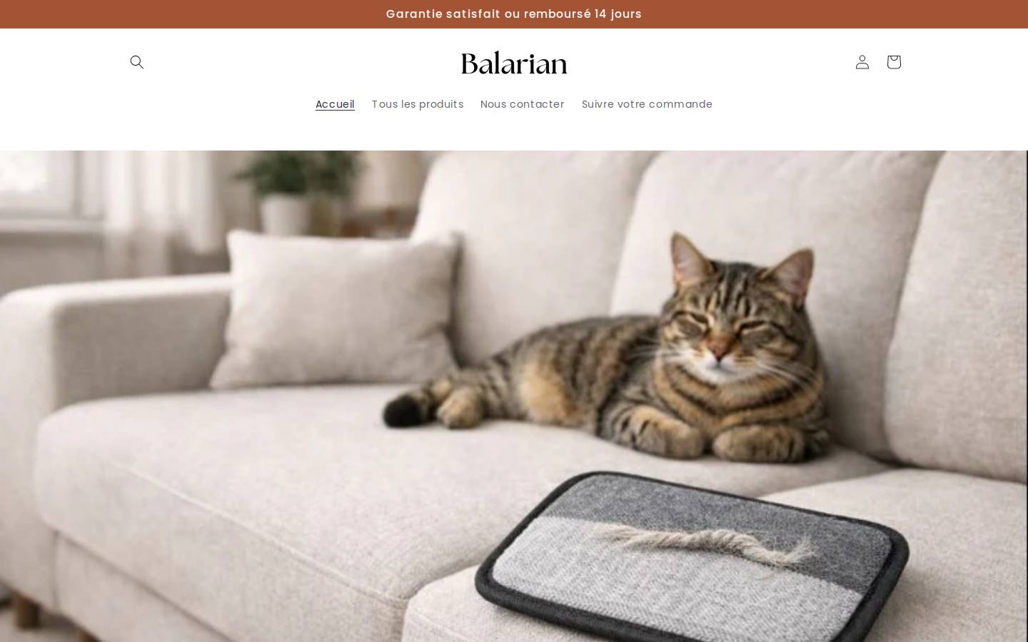balarian.com homepage screenshot