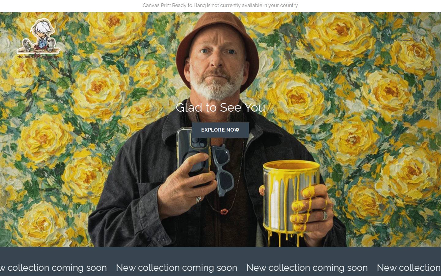 baldart.com.au homepage screenshot