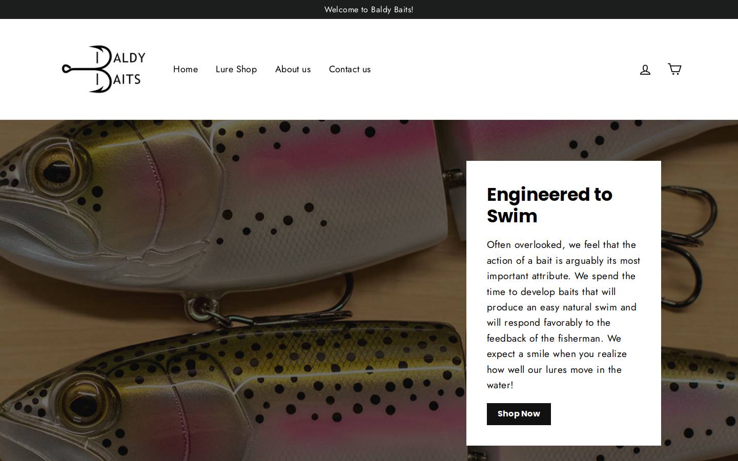 baldybaits.com homepage screenshot