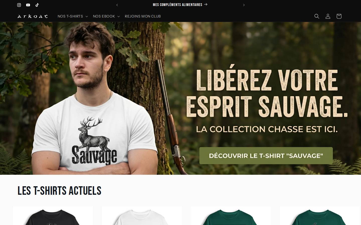 baleizhbreizh.com homepage screenshot