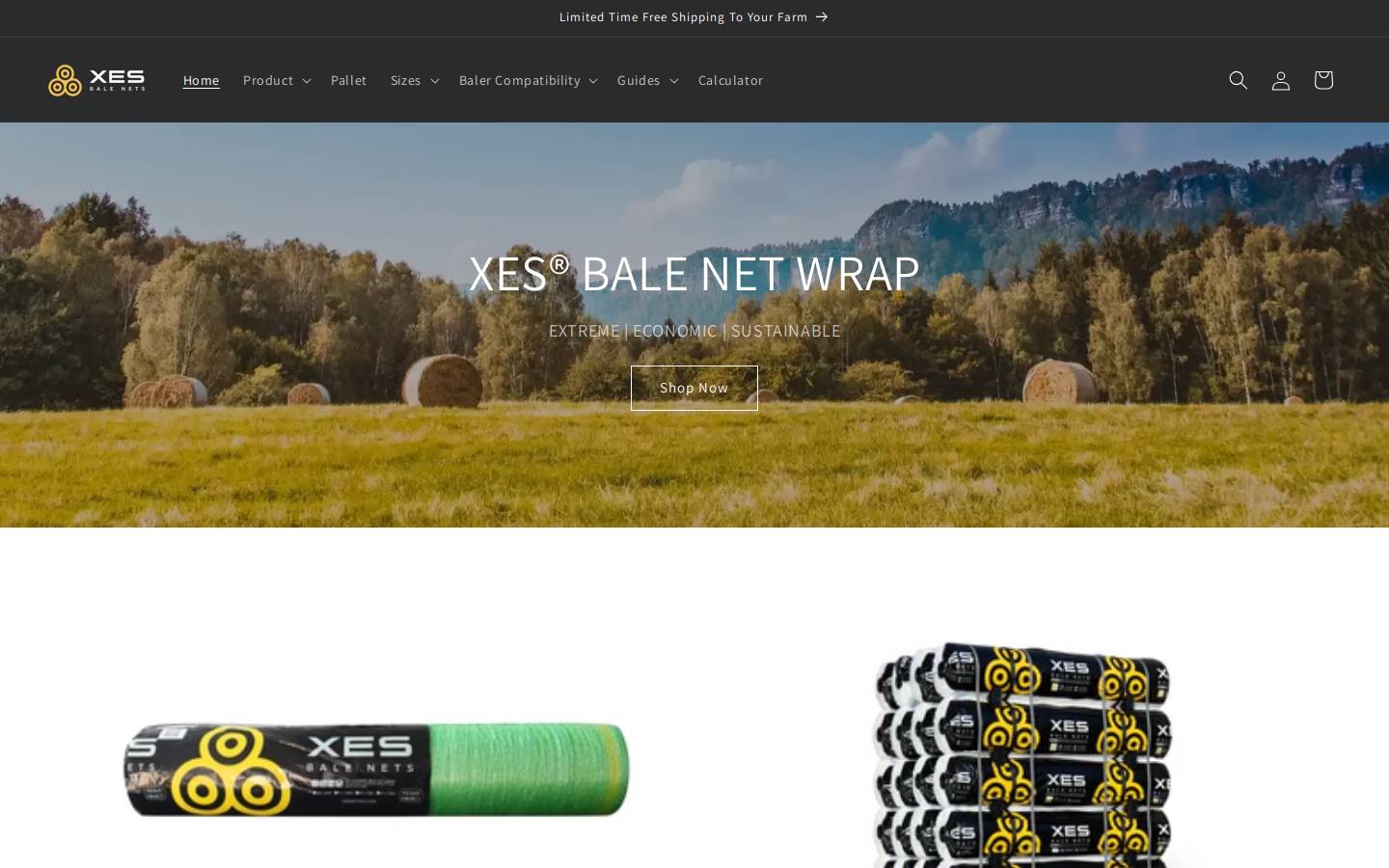 balenets.com homepage screenshot