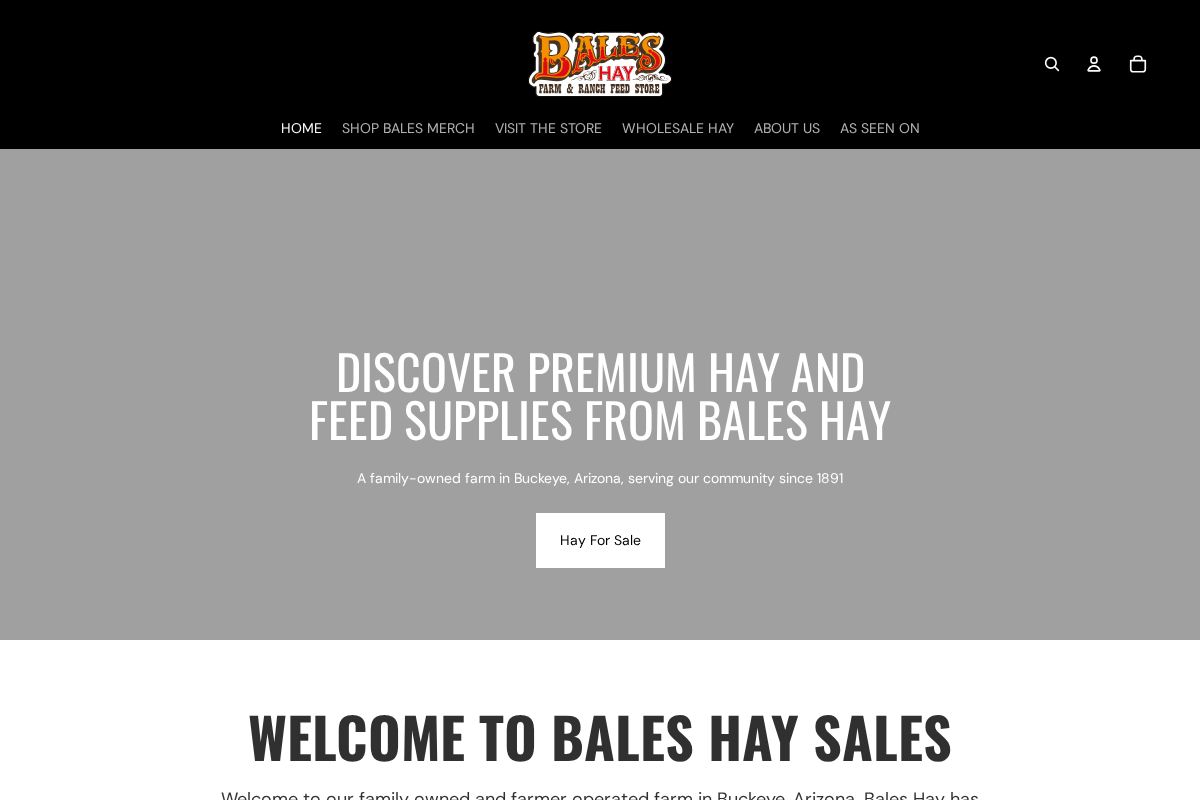 baleshay.com homepage screenshot