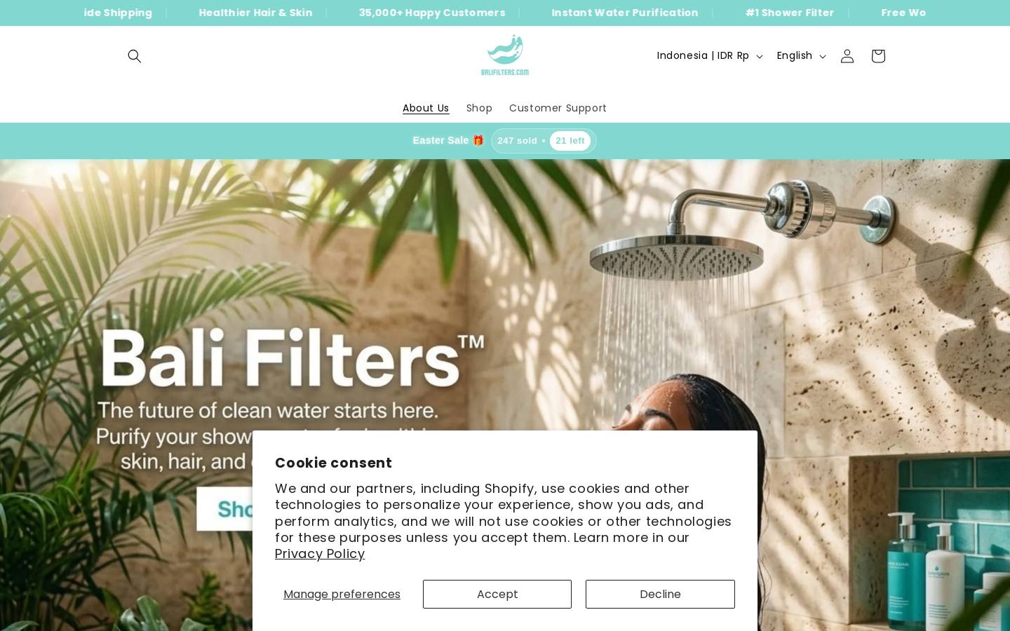 balifilters.com homepage screenshot