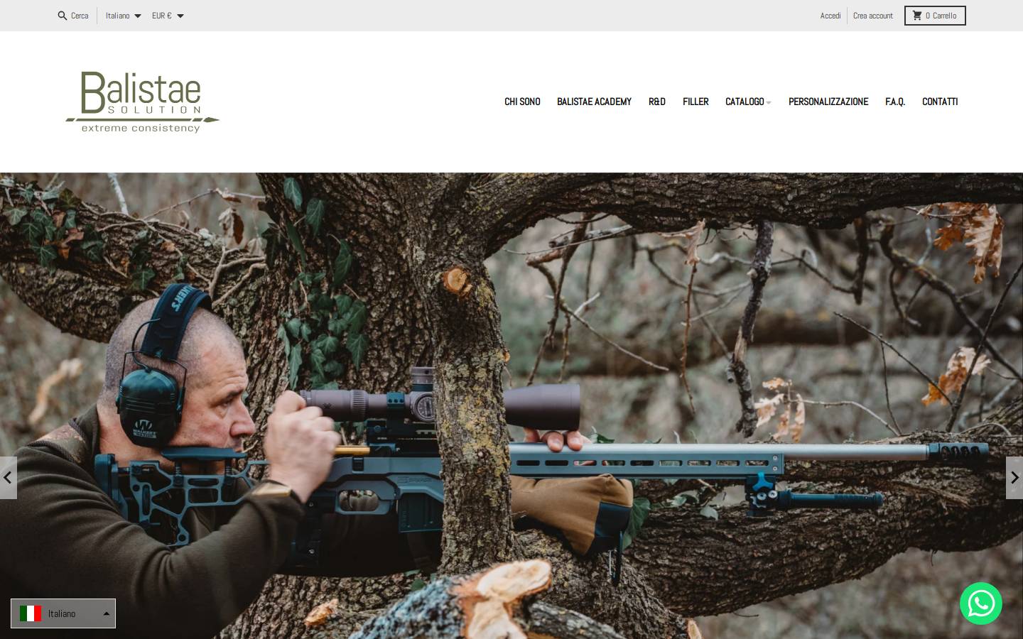 balistaesolution.com homepage screenshot