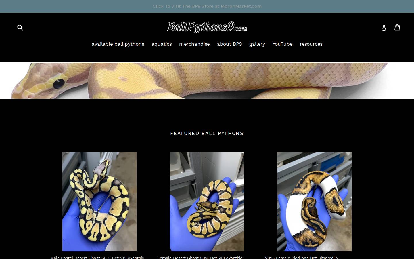 ballpythons9.com homepage screenshot