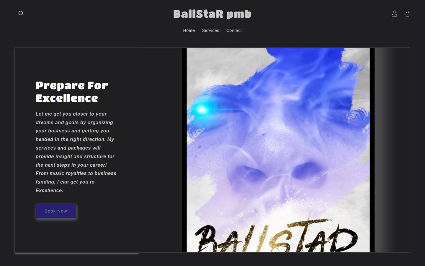 ballstarpmb.com homepage screenshot