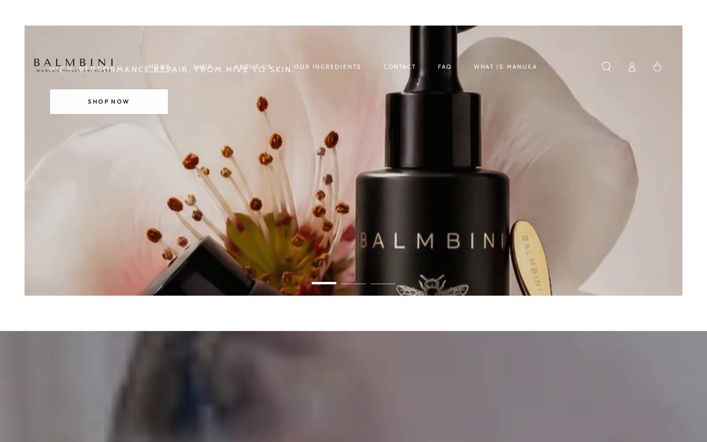 balmbini.com homepage screenshot