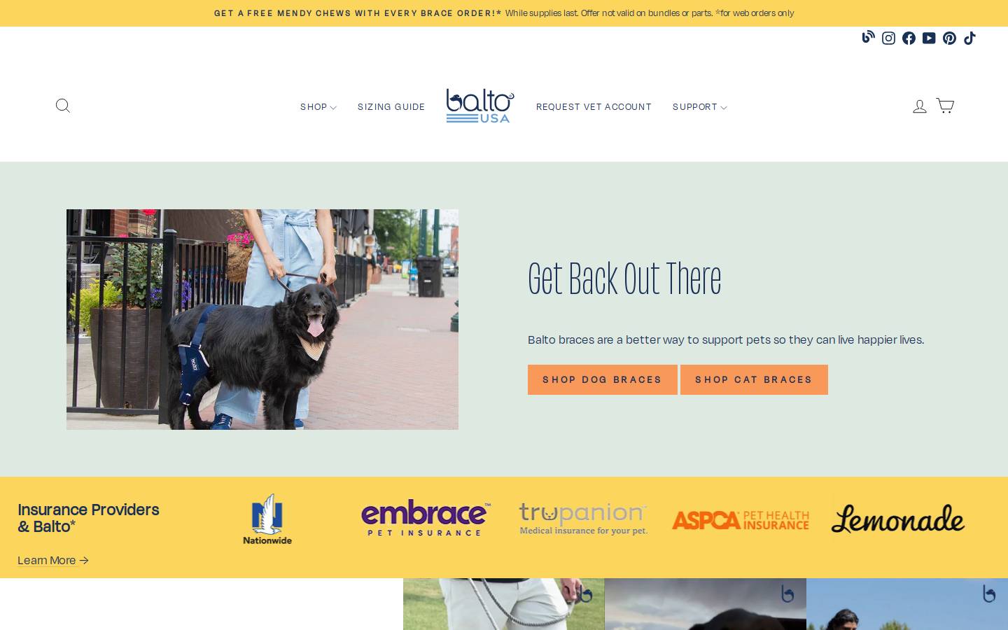 baltousa.com homepage screenshot