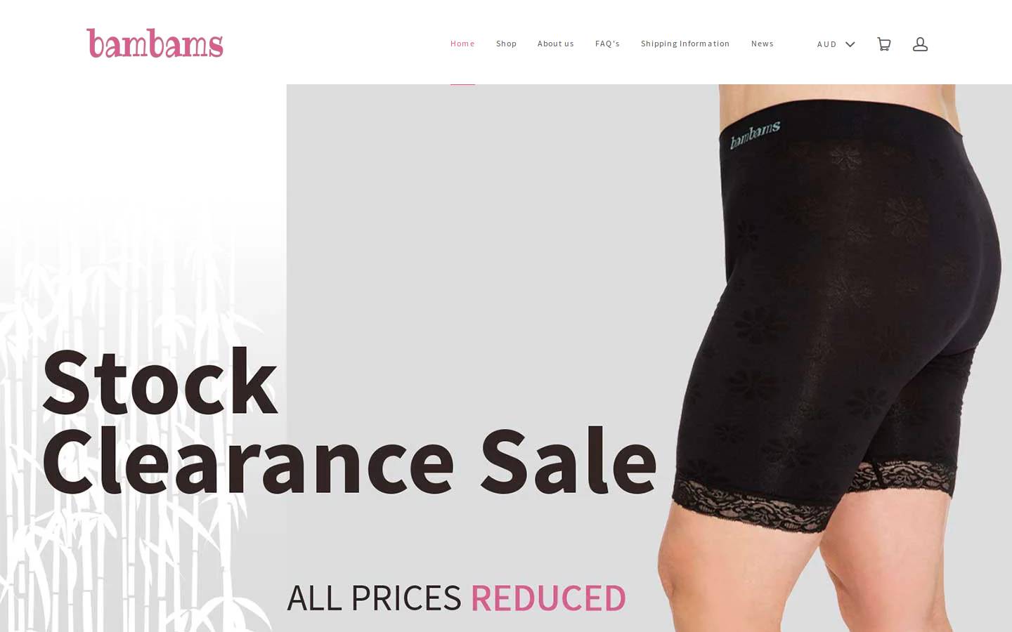 bambamsint.com homepage screenshot