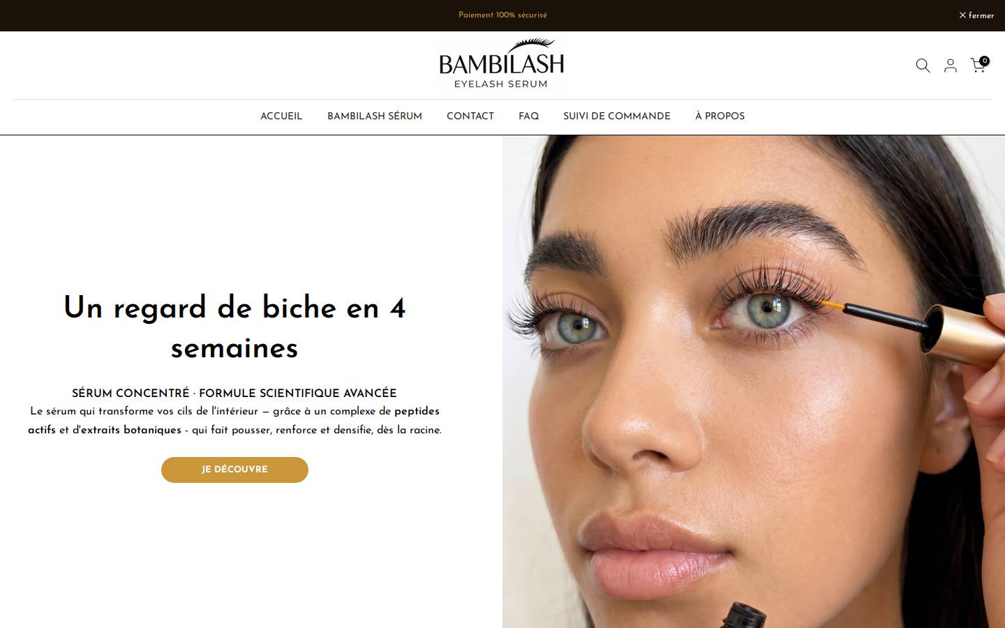 bambilashparis.com homepage screenshot