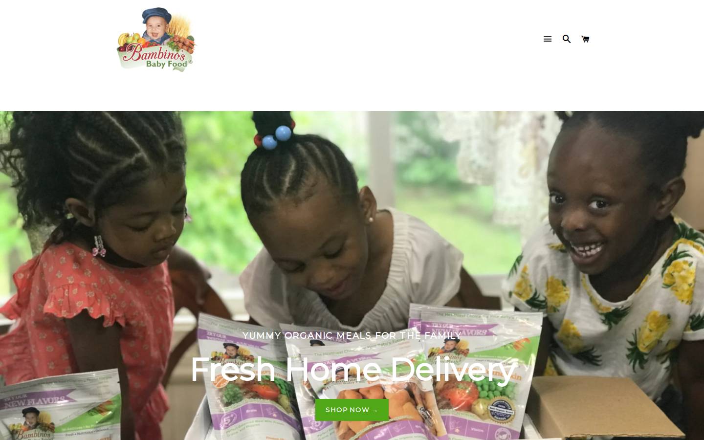 Bambino's Baby Food homepage screenshot