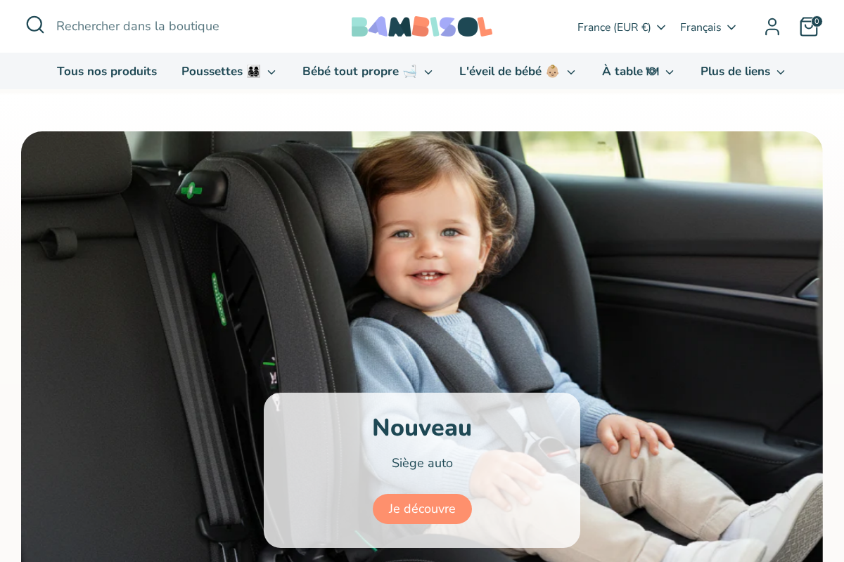 Bambisol homepage screenshot