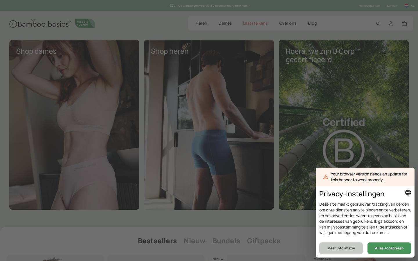 bamboebasic.nl homepage screenshot