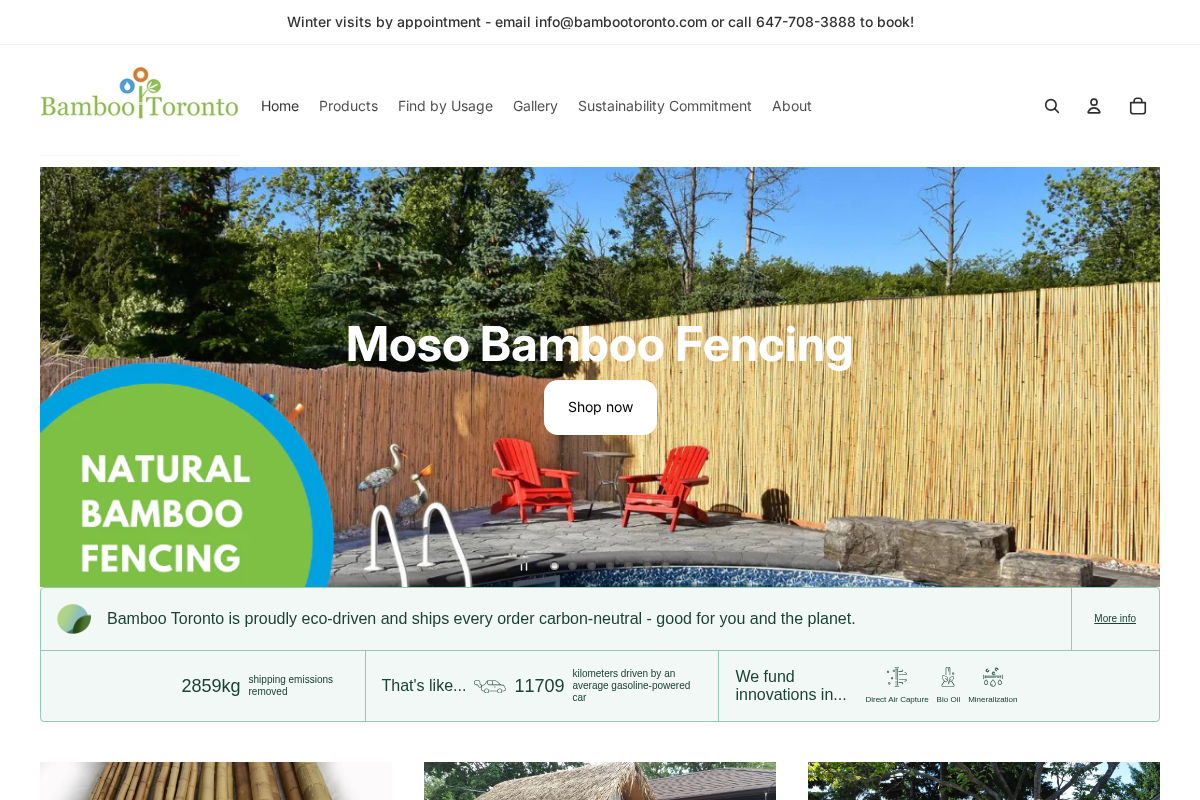 Bamboo Toronto Store homepage screenshot
