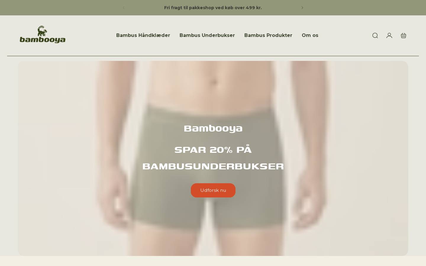 Bambooya homepage screenshot