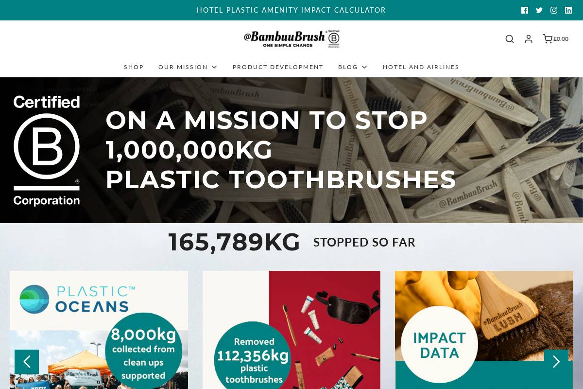 @BambuuBrush homepage screenshot