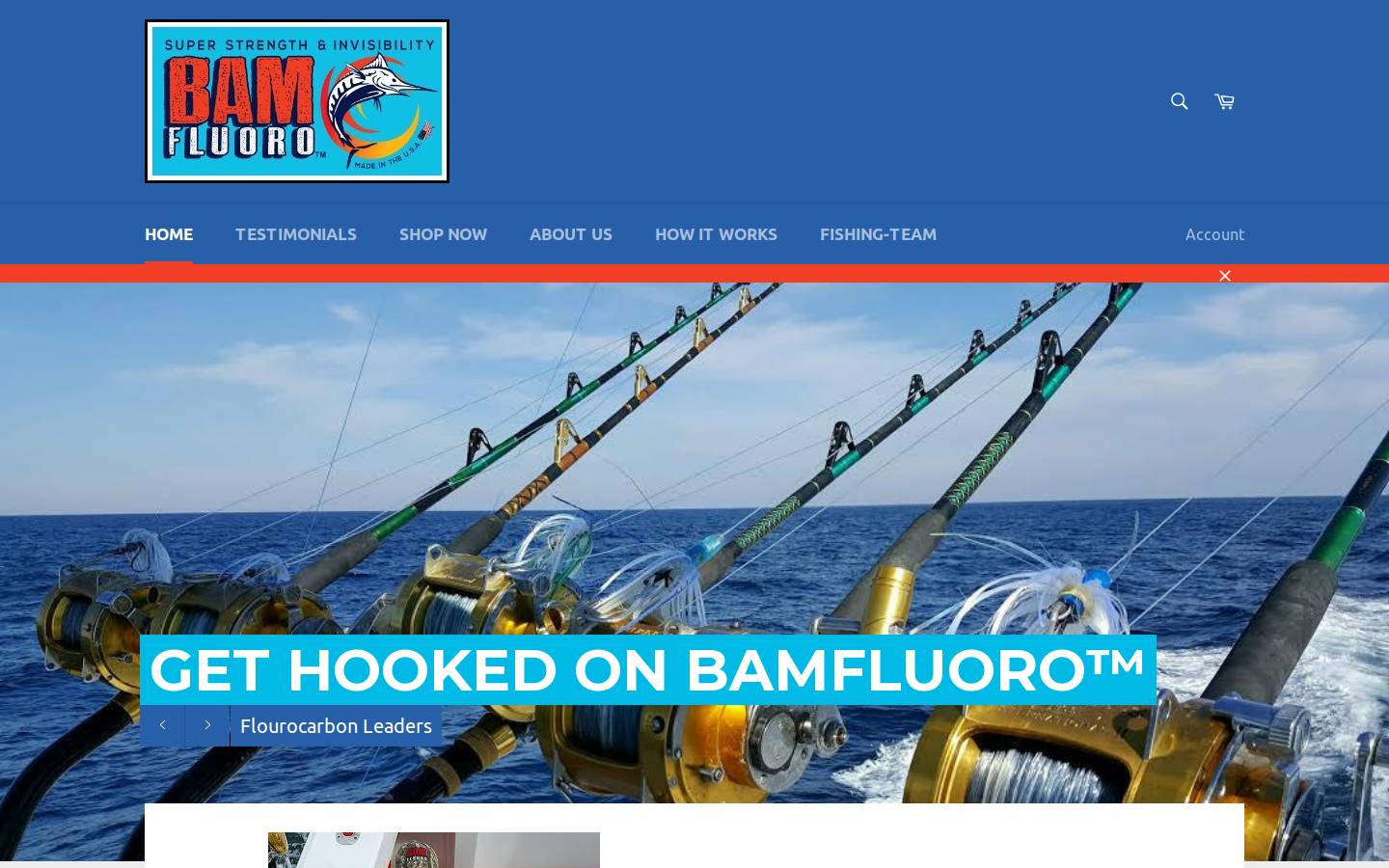 bamfluoro.com homepage screenshot