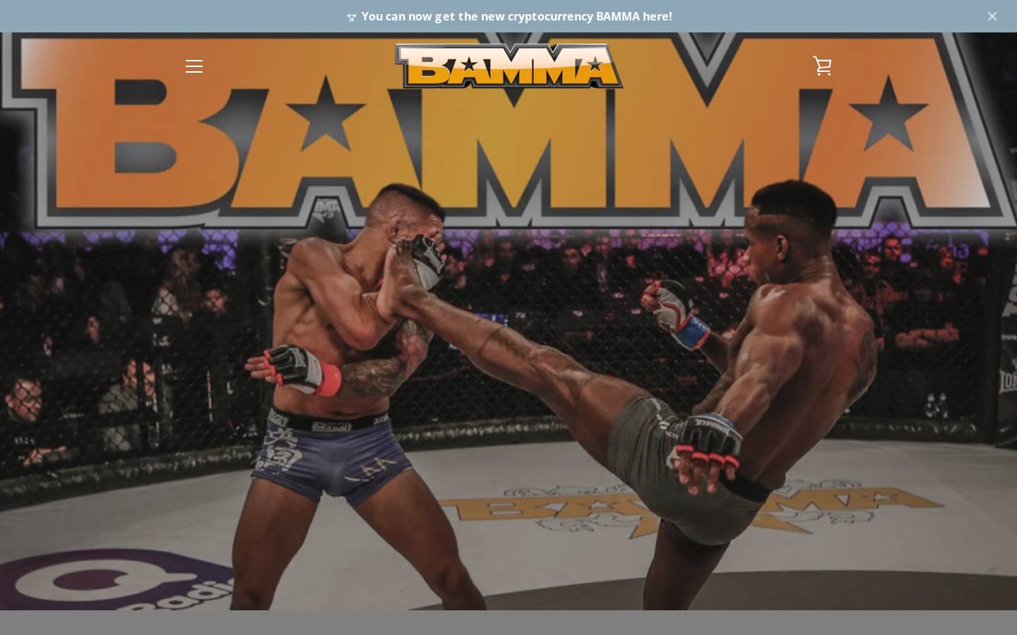 bamma.pro homepage screenshot